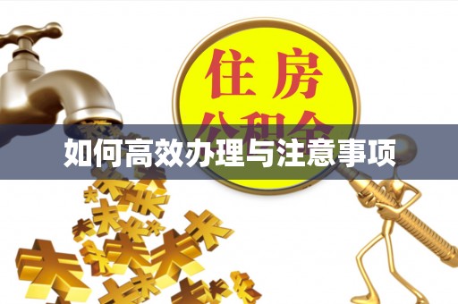 沙河口如何高效办理与注意事项