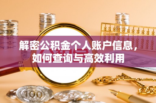 沙河口解密公积金个人账户信息，如何查询与高效利用